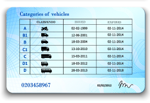 Driving_license_EN_3.jpg