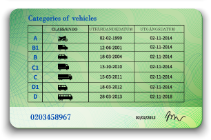Driving_license_AR_3.png